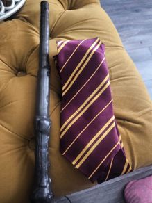 Harry Potter tie and sword
