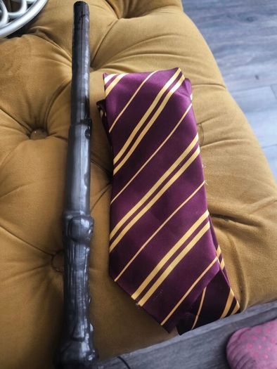 Harry Potter tie and sword