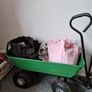 Trolley for Festivals or Garden work Image 2