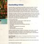 Controlling Crime - Crime, Order & Social Control Image 2