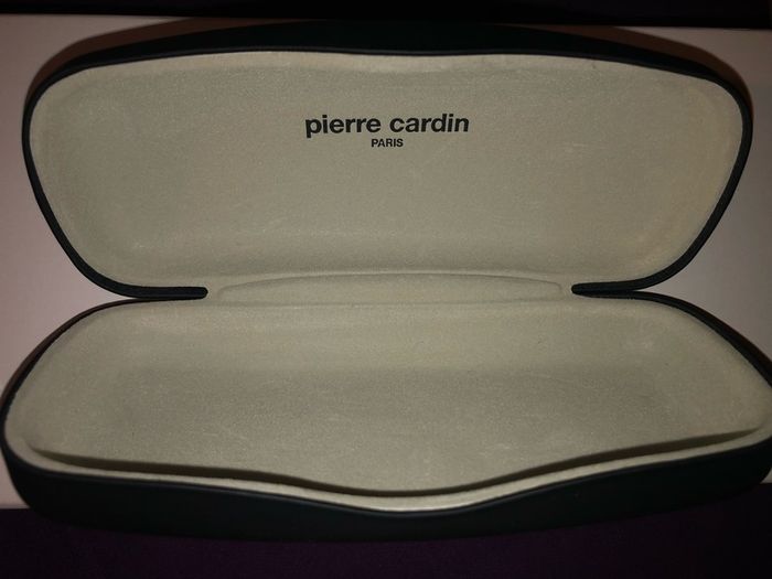 Pierre Cardin hard case sunglasses