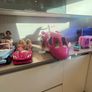 barbie Image 4