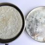 Vintage 1930s "propert's Leather & Saddle Soap" Tin British Horse Drun Image 4