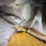 Vertical double radiator brand new (paint damaged in transport) Image 3