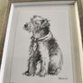 FRAMED  Terrier Dog Line Sketch Art Print. Image 2