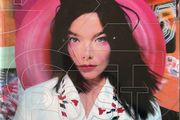 Bjork Post Book