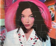 Bjork Post Book