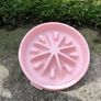 Slow Feeding Bowl - Pink Image 2