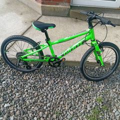 Kids mountain bike giant 8 gears