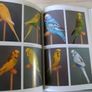 Cage & Aviary Birds Book Image 2