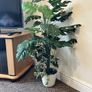 Artificial Plants Image 4