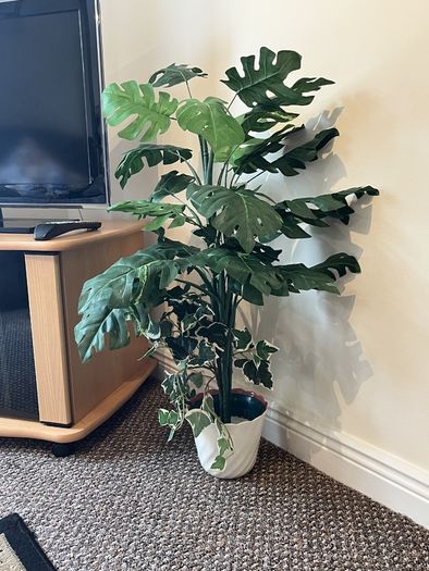 Artificial Plants