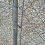 dog pen gate WANTED Image 4