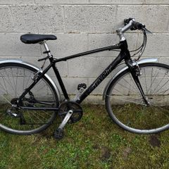 giant bike
