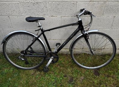 giant bike