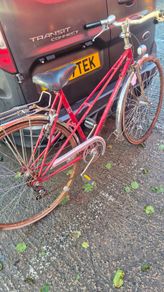 classic vintage peugeot road bike