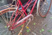 classic vintage peugeot road bike