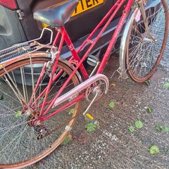 classic vintage peugeot road bike