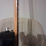 Encore Stratocaster Image 4