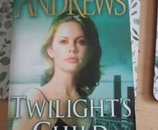 Twilight's Child book
