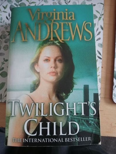 Twilight's Child book