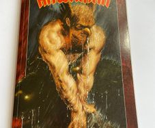 Hawkman: Wings of Fury