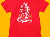 Liverpool Premier League Champions 2025 T-Shirts (Small to 5XL)