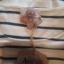 Stripe top Image 2