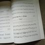 the Irish mandolin teaching book Image 7