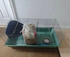 Cage for rabbit.