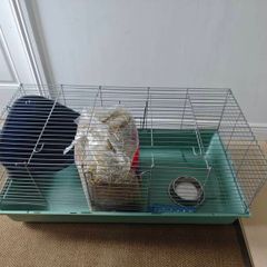 Cage for rabbit.