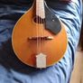 Palmer mandolin P3W  late 70s r early 80s and gigbag Image 2