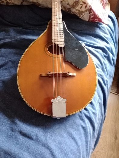 Palmer mandolin P3W  late 70s r early 80s and gigbag