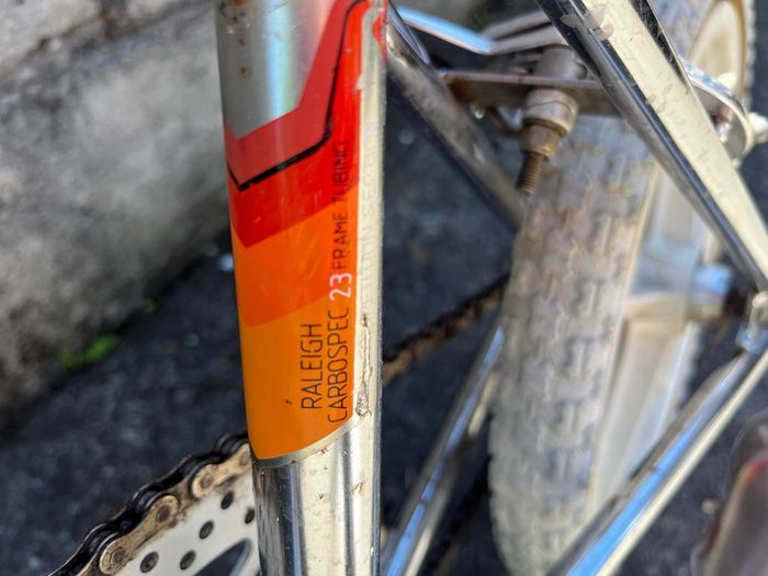 raleigh burner kids bike