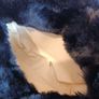 Black fur handbag Image 5