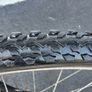 Mountain Bike Good Condition No Offers Image 5