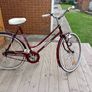 adults bike Image 5