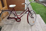 adults bike