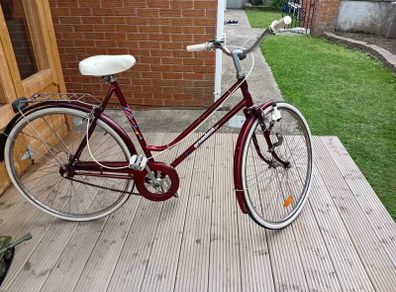 adults bike