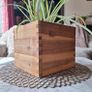 Spider Plant in Wooden Planter Image 3