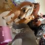 Schleich Horses with some accessories Image 3