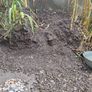 garden soil Image 2