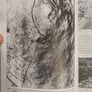 Wicklow Archaeology And History Volume 1 Edited By Christian Corlette & Aidan O O'sullivan  Paperback In Good Condition. Image 4