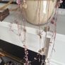 Trailing "String of hearts" real plant Image 6