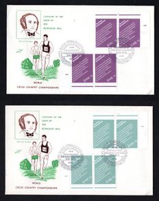 1979 Ireland Events European Parliamentary Elections Commemorative Stamps Plate Pairs Illustrated Hibernian First Day Cover (FDC)