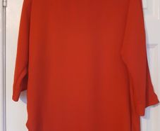 Ladies top