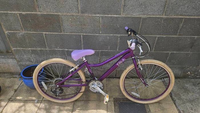 Raleigh Bicycle