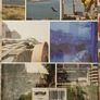 Wild Dublin: Exploring Nature In The City by Eanna Ni Lamhna Image 3