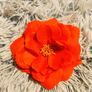 Orange Flower Hair Clip Bright, Playful & Versatile Image 3
