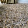 Beige/Mustard Shaggy Rug Image 2